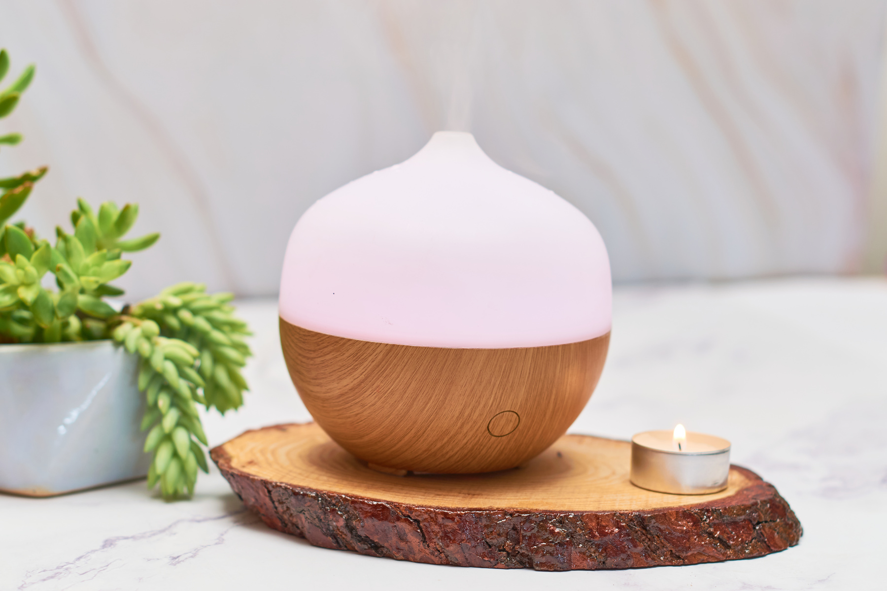 Aroma oil diffuser and plants. Aromatherapy concept